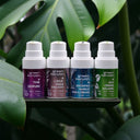 # OUR EXPERTISE YOUR CHOICE - SPF COLLECTION 2024 